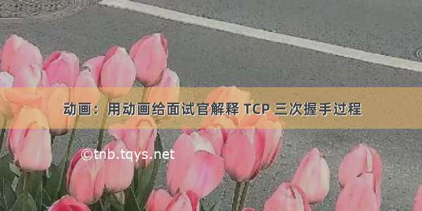 动画：用动画给面试官解释 TCP 三次握手过程