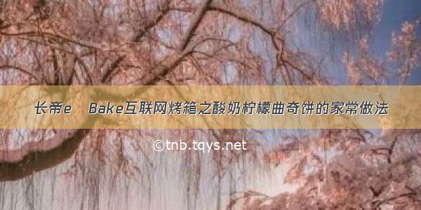 长帝e•Bake互联网烤箱之酸奶柠檬曲奇饼的家常做法