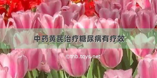 中药黄芪治疗糖尿病有疗效