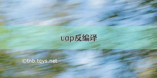 uap反编译