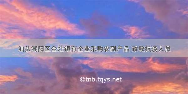 汕头潮阳区金灶镇有企业采购农副产品 致敬抗疫人员