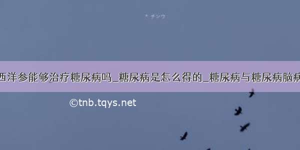 西洋参能够治疗糖尿病吗_糖尿病是怎么得的_糖尿病与糖尿病脑病