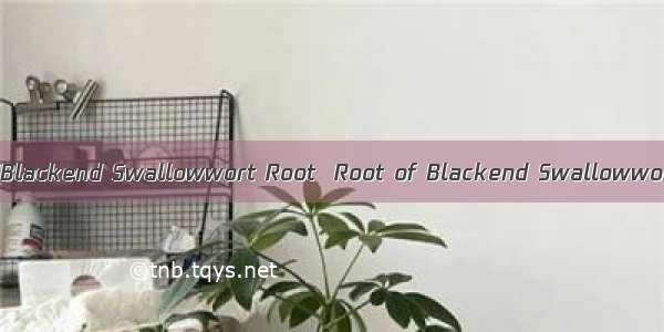 白薇RADIX CYNANCHI ATRATIBlackend Swallowwort Root  Root of Blackend Swallowwort  Root of Versicolorou