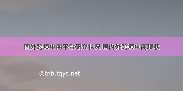 国外跨境电商平台研究状况 国内外跨境电商现状