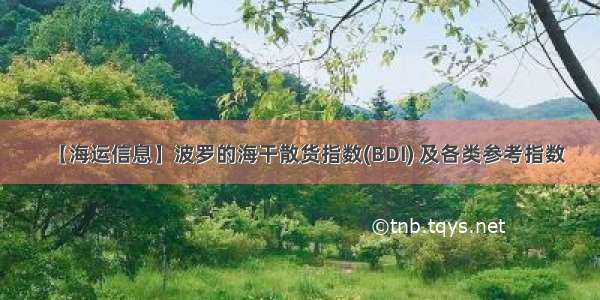 【海运信息】波罗的海干散货指数(BDI) 及各类参考指数