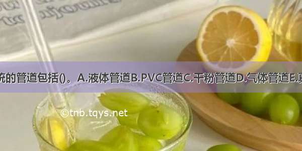 干粉灭火系统的管道包括()。A.液体管道B.PVC管道C.干粉管道D.气体管道E.真空高压管道