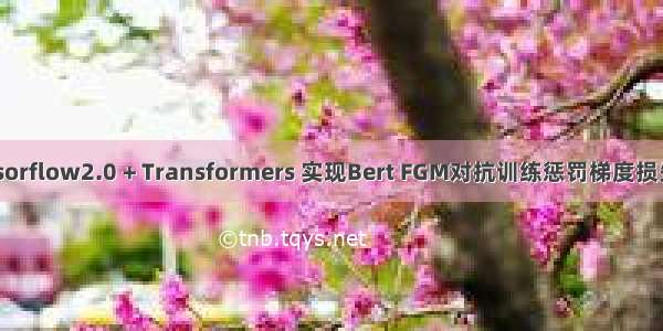 Tensorflow2.0 + Transformers 实现Bert FGM对抗训练惩罚梯度损失函数