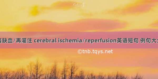 脑缺血/再灌注 cerebral ischemia/reperfusion英语短句 例句大全