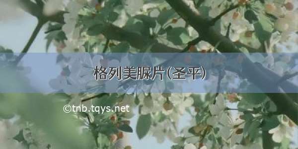 格列美脲片(圣平)