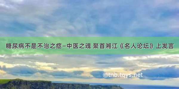 糖尿病不是不治之症—中医之魂 聚首湘江《名人论坛》上发言