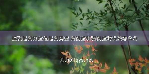 脱发是肾阳虚还是肾阴虚 肾阴虚和肾阴虚掉头发怎么办