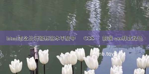 html怎么让行级标签水平居中 – CSS – 前端 css样式绿色