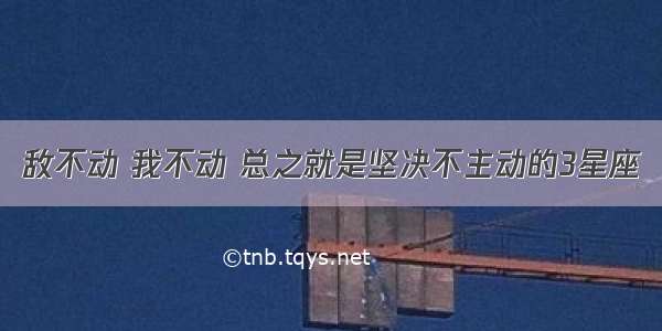 敌不动 我不动 总之就是坚决不主动的3星座