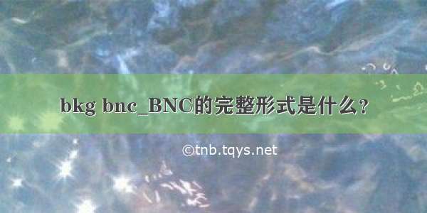 bkg bnc_BNC的完整形式是什么？