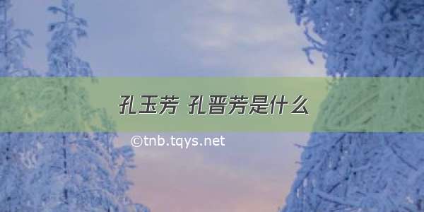 孔玉芳 孔晋芳是什么