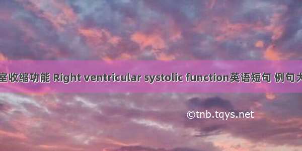 右室收缩功能 Right ventricular systolic function英语短句 例句大全