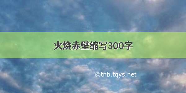 火烧赤壁缩写300字