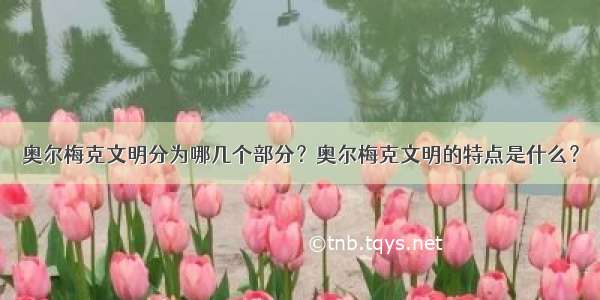 奥尔梅克文明分为哪几个部分？奥尔梅克文明的特点是什么？