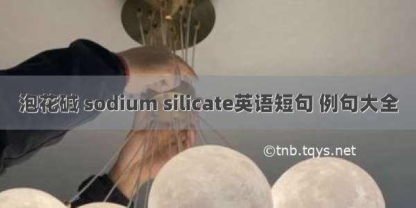 泡花碱 sodium silicate英语短句 例句大全