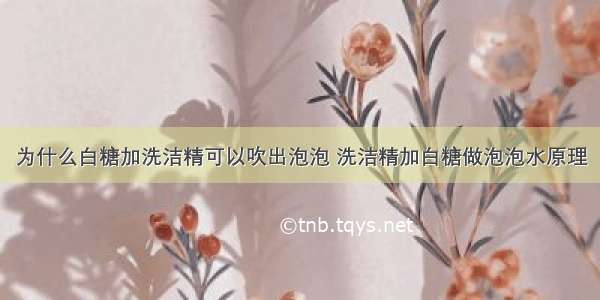 为什么白糖加洗洁精可以吹出泡泡 洗洁精加白糖做泡泡水原理