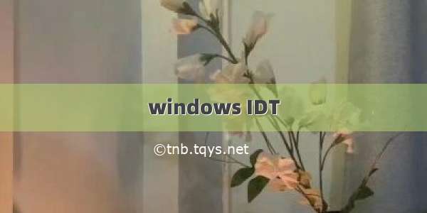 windows IDT