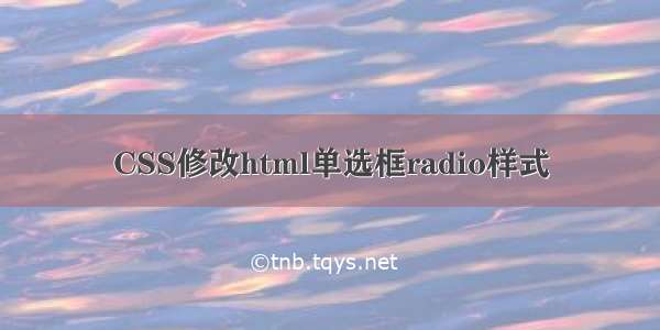 CSS修改html单选框radio样式