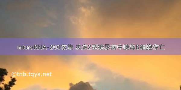 microRNA-200家族 决定2型糖尿病中胰岛B细胞存亡