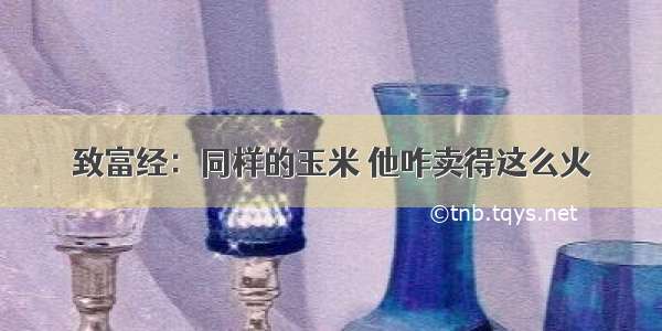 致富经：同样的玉米 他咋卖得这么火