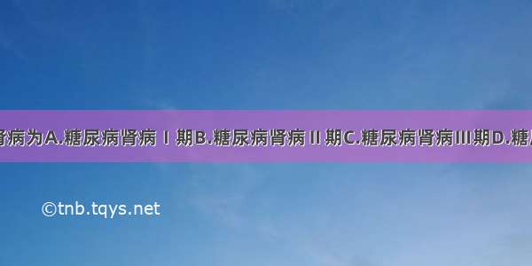 临床糖尿病肾病为A.糖尿病肾病Ⅰ期B.糖尿病肾病Ⅱ期C.糖尿病肾病Ⅲ期D.糖尿病肾病Ⅳ期