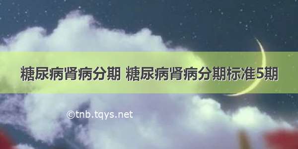 糖尿病肾病分期 糖尿病肾病分期标准5期