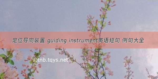 定位导向装置 guiding instrument英语短句 例句大全