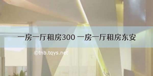 一房一厅租房300 一房一厅租房东安