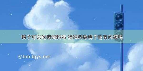 鸭子可以吃猪饲料吗 猪饲料给鸭子吃有问题吗