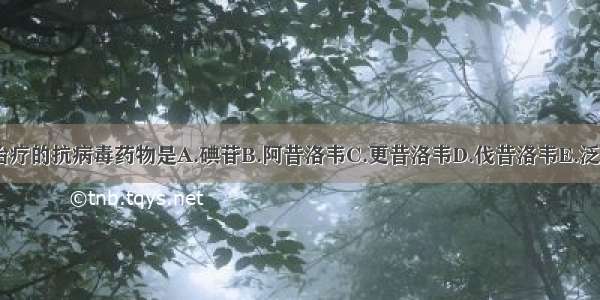 仅限局部外用治疗的抗病毒药物是A.碘苷B.阿昔洛韦C.更昔洛韦D.伐昔洛韦E.泛昔洛韦ABCDE