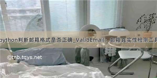 python判断邮箱格式是否正确_ValidEmail：邮箱真实性检测工具