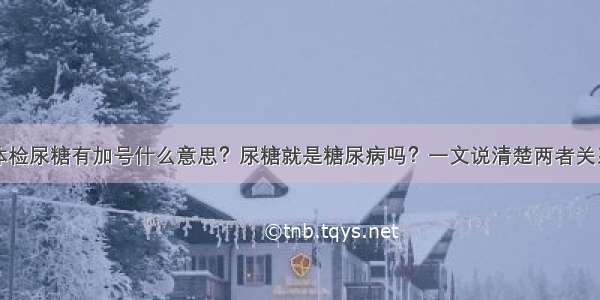 体检尿糖有加号什么意思？尿糖就是糖尿病吗？一文说清楚两者关系