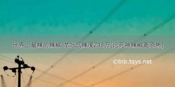 世界上最辣的辣椒 龙吐气辣度248万(比死神辣椒更恐怖)