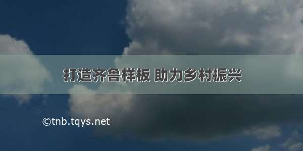 打造齐鲁样板 助力乡村振兴