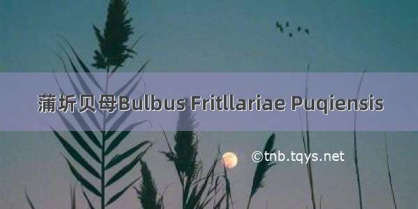 蒲圻贝母Bulbus Fritllariae Puqiensis