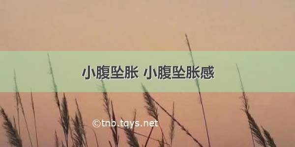 小腹坠胀 小腹坠胀感