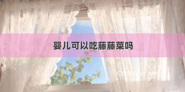 婴儿可以吃藤藤菜吗