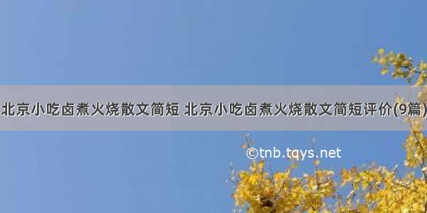 北京小吃卤煮火烧散文简短 北京小吃卤煮火烧散文简短评价(9篇)