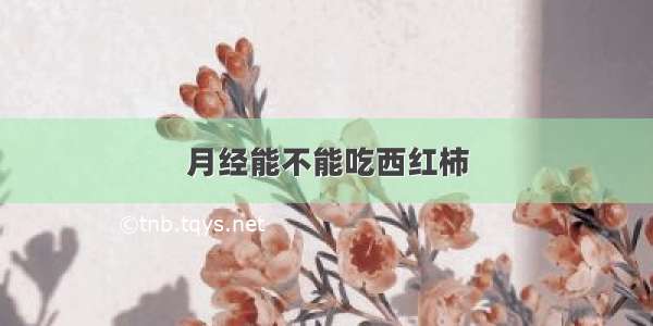 月经能不能吃西红柿