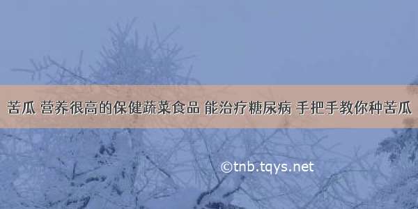 苦瓜 营养很高的保健蔬菜食品 能治疗糖尿病 手把手教你种苦瓜