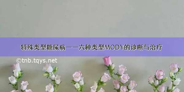 特殊类型糖尿病——六种类型MODY的诊断与治疗