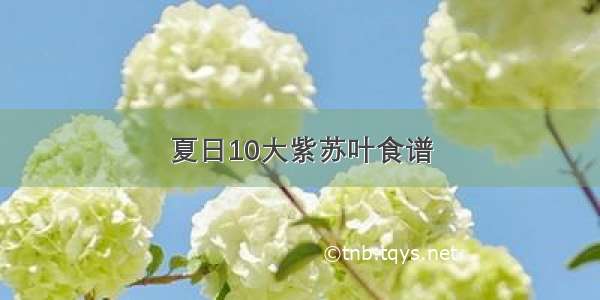 夏日10大紫苏叶食谱