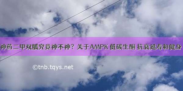 神药二甲双胍究竟神不神？关于AMPK 低碳生酮 抗衰延寿和健身