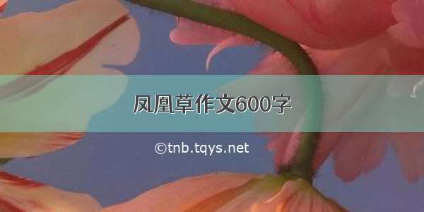 凤凰草作文600字