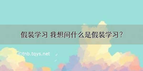 假装学习 我想问什么是假装学习？