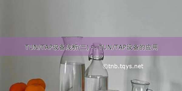 TUN/TAP设备浅析(三) -- TUN/TAP设备的应用